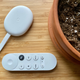 Image for article titled The Best Streaming Device on a Budget